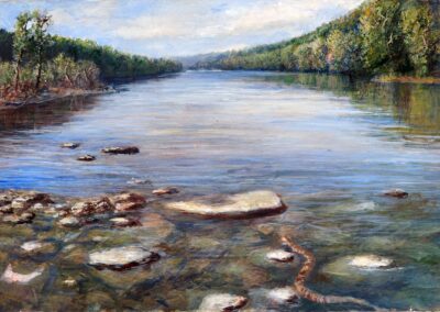 View of the Delaware River from a rocky shore with blue skies and shoreline trees on both sides reflecting in the river. In the foreground is a watersnake slithering between the rocks.