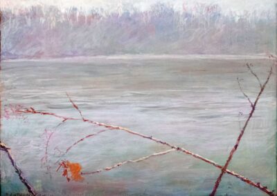 Thin tree branches protruding over a misty calm river