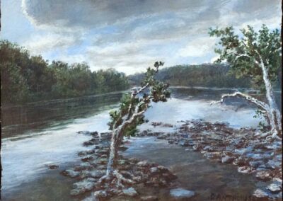 River with rocks and two trees in foreground